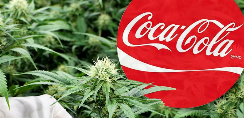 coca cola alla cannabis