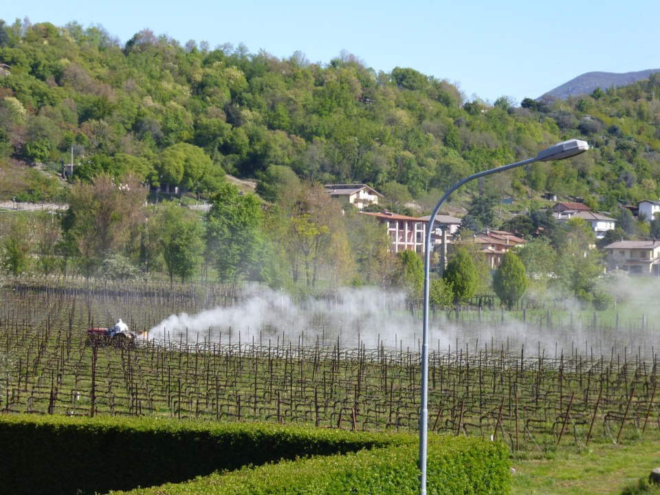 Irrorazione vigneti di Prosecco con elicottero