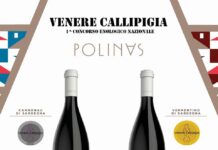 UN ECCELLENTE VERMENTINO DI SARDEGNA BIOLOGICO