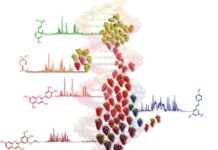 Vino, la prima mappa metabolomica delle varietà di vite a livello mondiale realizzata da Fondazione Mach