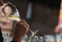 Il Trentino del vino stroncato dalle guide