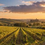 Vino, le 12 regioni migliori d’Europa per i viaggi enogastronomici.