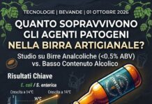 Birra analcolica e sicurezza alimentare: una sfida microbiologica da non sottovalutare