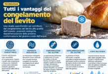 Congelamento dell’impasto e degradazione del glutine: cosa avviene a livello molecolare?
