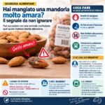 Mangiata una mandorla amara? Ecco perché non devi ignorare quel sapore