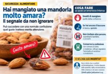 Mangiata una mandorla amara? Ecco perché non devi ignorare quel sapore