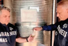 Muffe, escrementi e uva marcia: sequestrati 15mila litri di vino tra cantine e aziende in Emilia Romagna